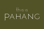 Pahang. Sleek serif/sans font, a Sans Serif Font by LostandFoundry (Thumbnail 1 of 9)
