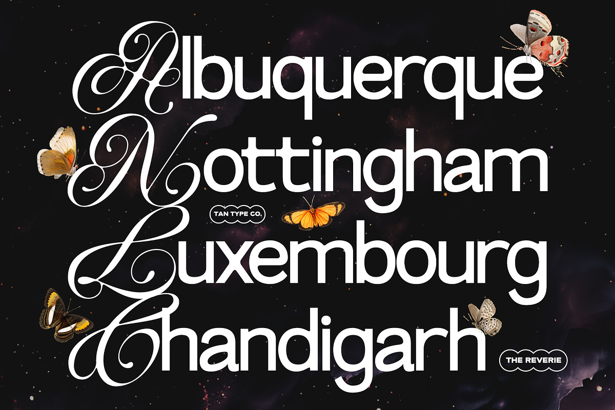 TAN-THE REVERIE, a Sans Serif Font by TanType (Photo 3 of 11)