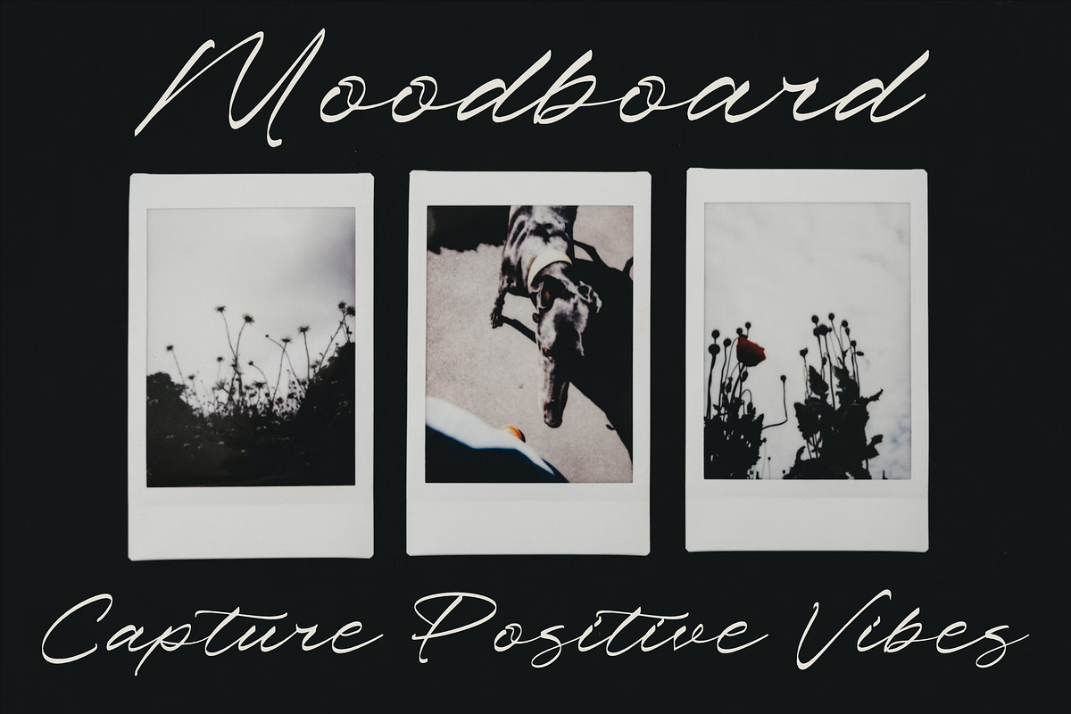 Pharellia Redusha A Modern Script, a Script Font by Storytype Studio (Photo 3 of 15)