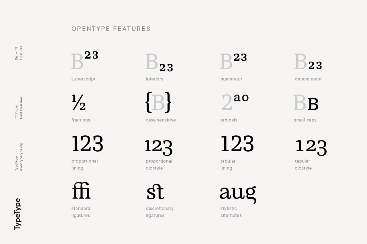 TT Tricks, a Serif Font by TypeType (Photo 6 of 10)