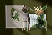 Vintage Botanica | Collage Creator, an Object Graphic by Leleka.Store (Thumbnail 8 of 15)