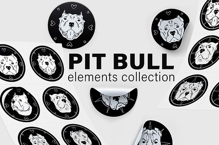 PIT BULL - set for pitbull lovers
