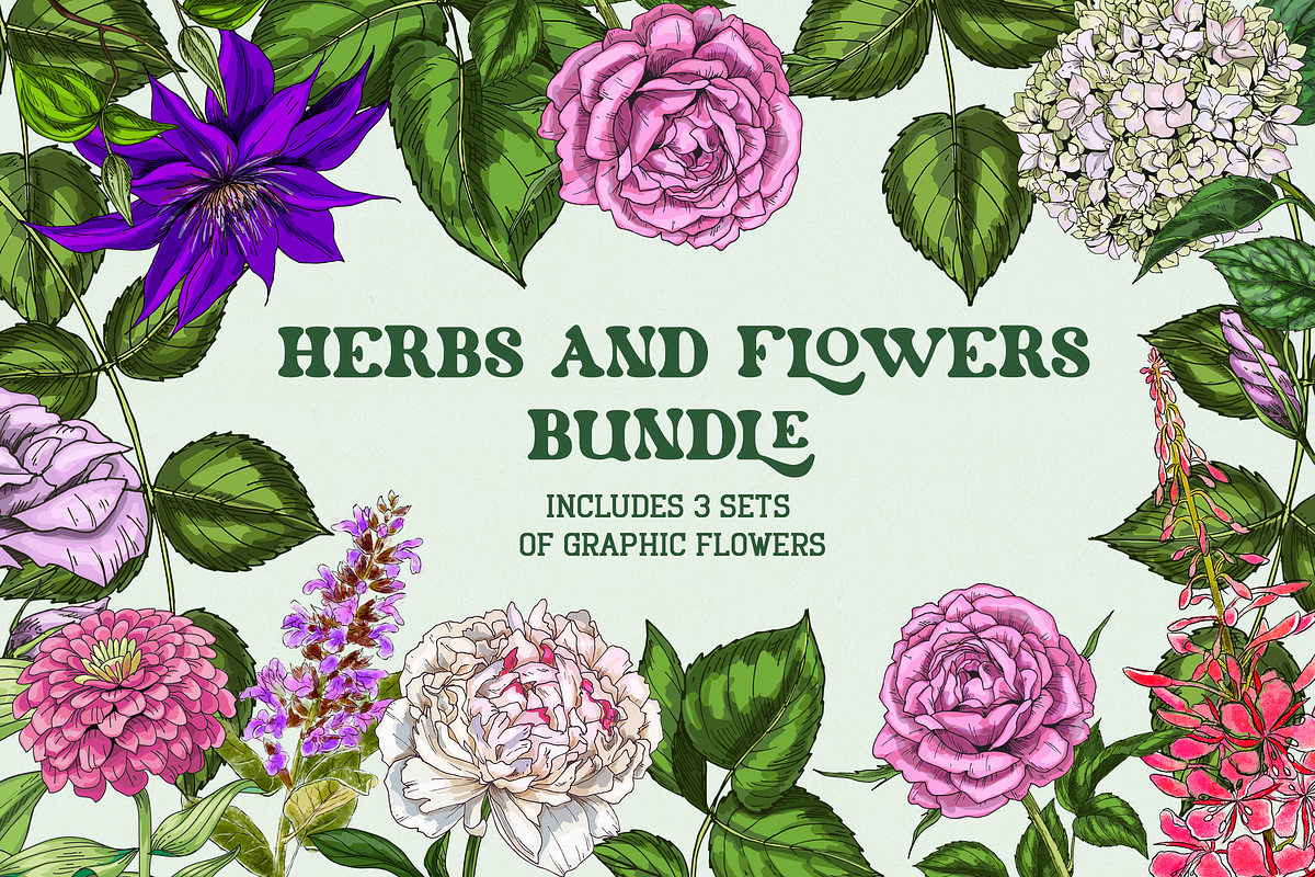 Flowers Illustration Bundle, a Decorative Illustration by Schumacher Shop (Photo 18 of 18)