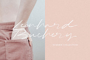 Hamira - Signature Brush Font, a Script Font by Dirtytemp Studio (Thumbnail 8 of 14)