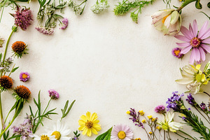 Colorful wildflowers arranged in a c, a Photo by Tanuart
