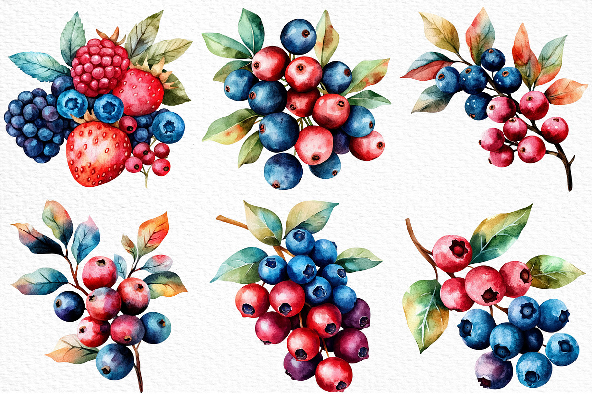 Watercolor Berries Clipart, an Illustration by Craft Nest (Photo 5 of 12)
