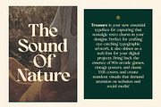 OV Treasure Retro Serif Font Family, a Serif Font by OV Type (Thumbnail 20 of 21)