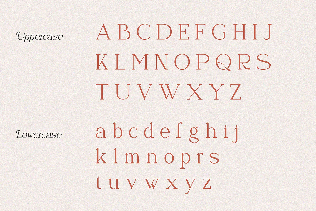 Naervik | Modern Serif, a Serif Font by Denustudios (Photo 10 of 13)