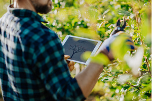 Farmer with tablet standing outdoors, a Person Photo by HalfPoint