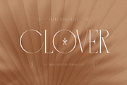 Clover Elegant Serif Font, a Serif Font by Perfectype (Thumbnail 1 of 10)