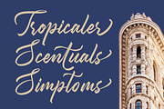 Monetz Clakson Bold Calligraphy Font, a Serif Font by stylishtype.co (Thumbnail 5 of 20)