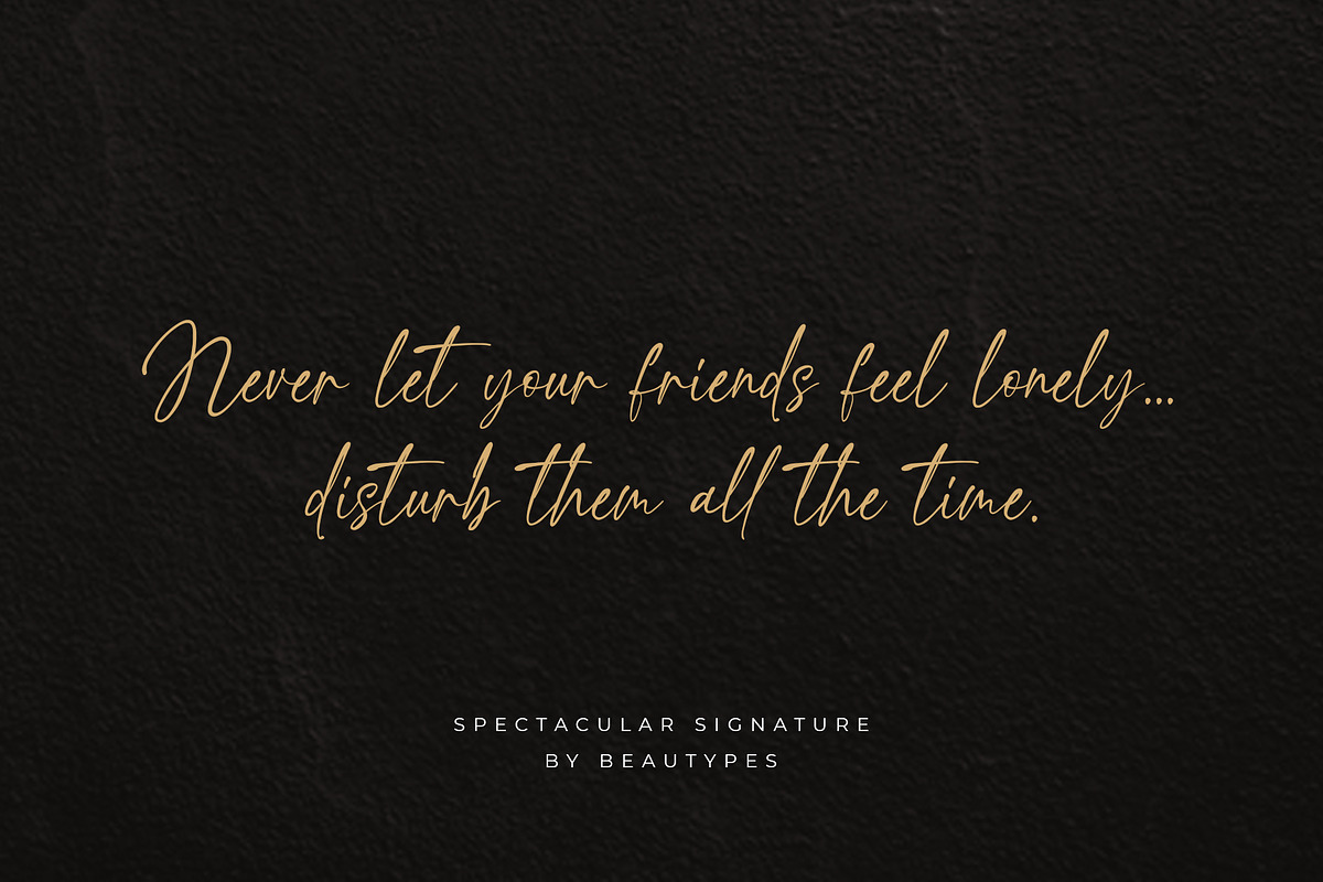 Spectacular Signature Font, a Script Font by Beautypes (Photo 4 of 8)