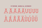 REINHARDT Font, a Serif Font by Brainware Graphic (Thumbnail 2 of 5)