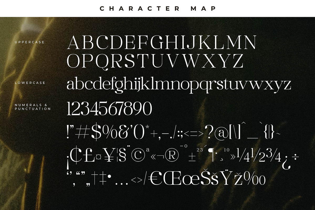 Maiken Modern Stylish Font, a Serif Font by Letterena Studios (Photo 13 of 15)