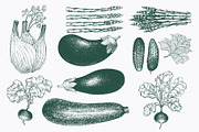 Vegetable Vector Collection, a Food Illustration by Lubov Illustrations Shop (Thumbnail 4 of 6)