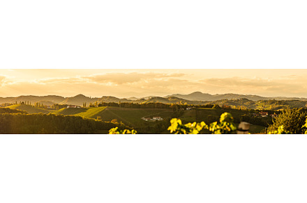 Vineyards panorama along Styrian, a Nature Photo by MadPhotos