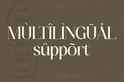 Fanlste Ligature Typeface Font, a Serif Font by Storytype Studio (Thumbnail 10 of 13)