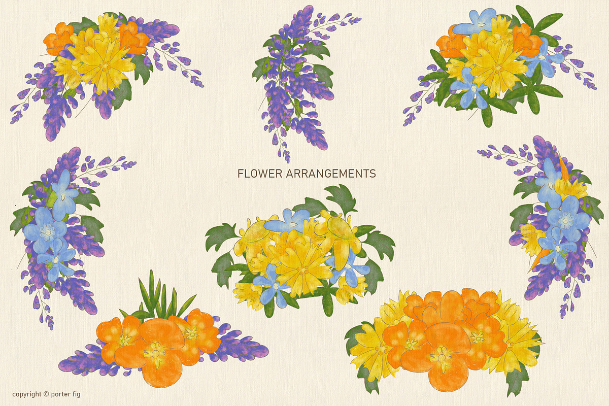Spring Wildflowers Design Set, a Seasonal Illustration by Porter Fig (Photo 4 of 5)