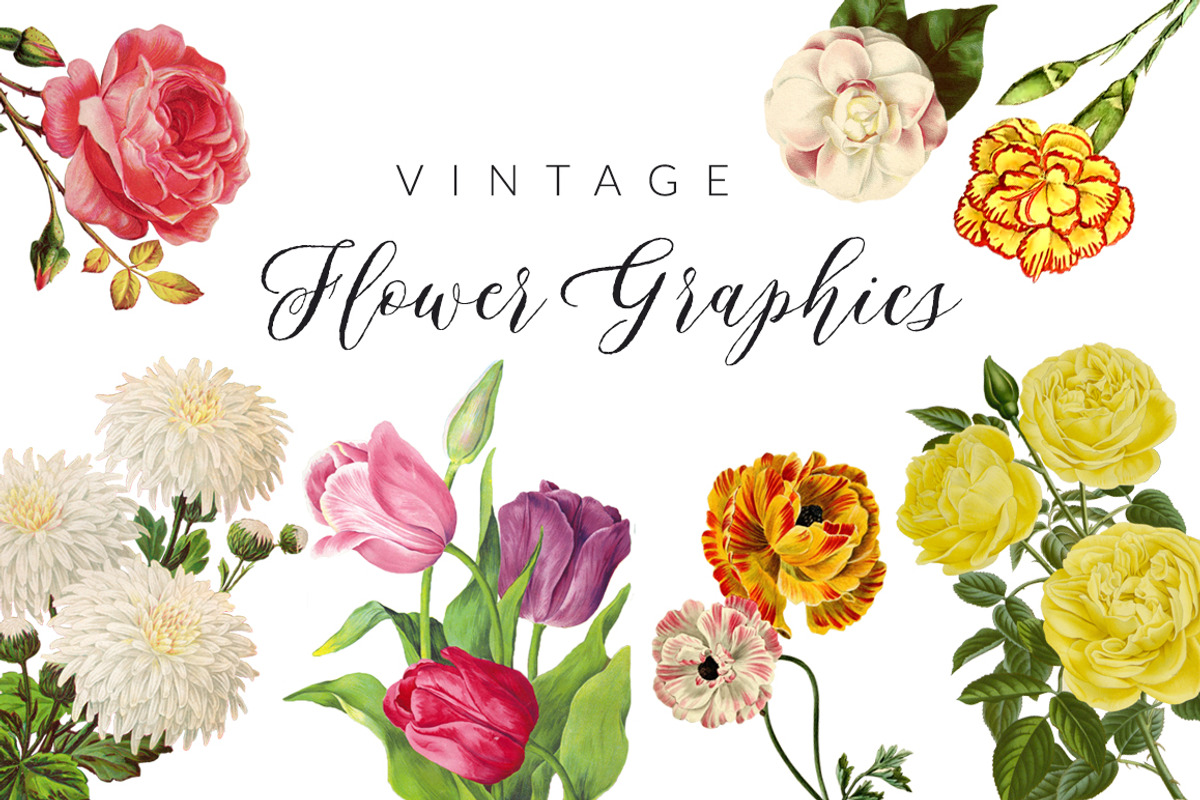 Vintage Flower Illustrations, an Illustration by Charming Ink (Photo 1 of 3)