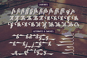 Hickson's Script + Bonus, a Script Font by Gleb Guralnyk (Thumbnail 6 of 7)
