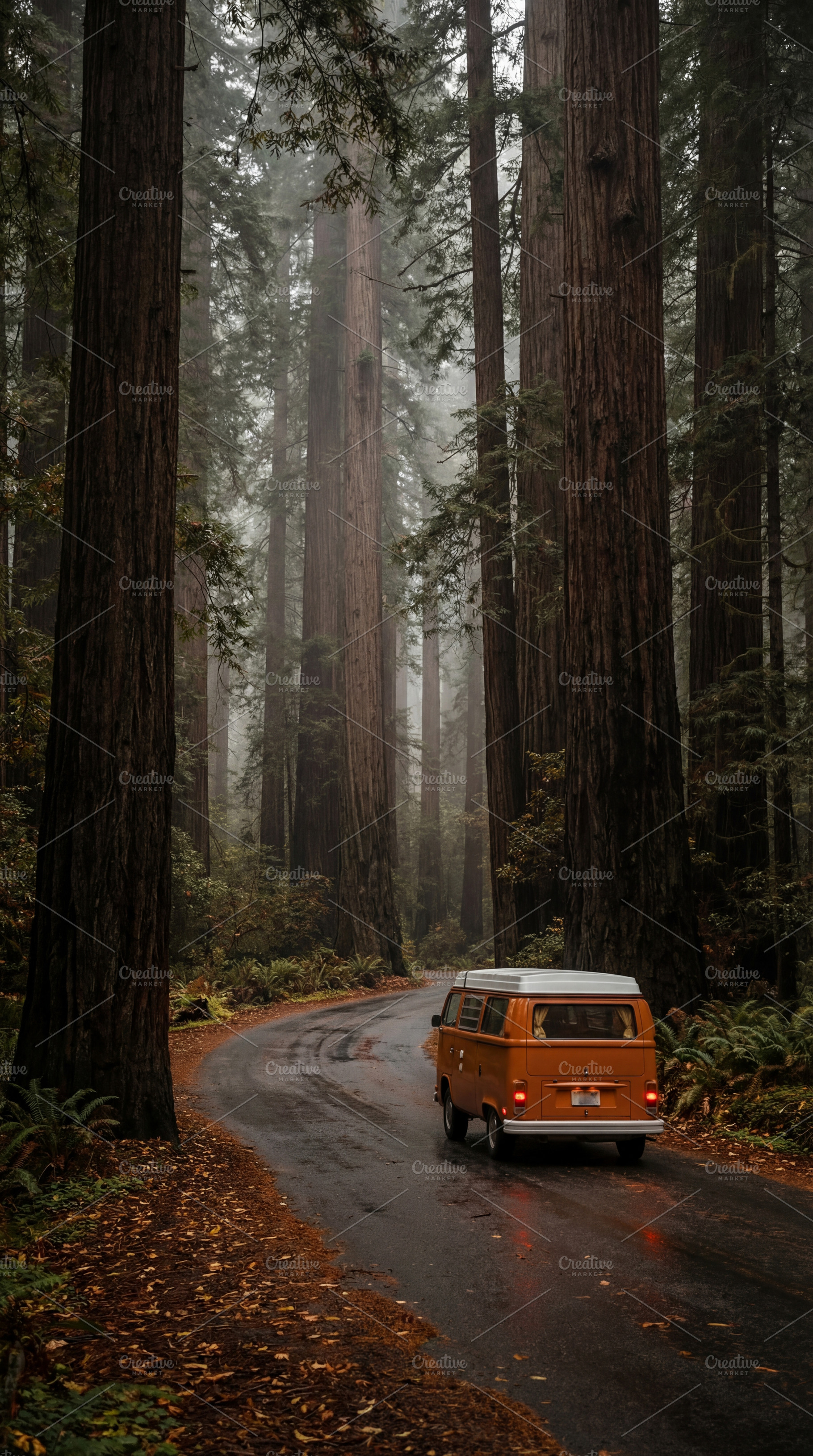 Vintage camper van on misty redwood, a Holiday Photo by Virgo Studio