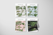 RAINFOREST, Luxury Prints!, a Pattern Graphic by HannaStudio (Thumbnail 6 of 7)