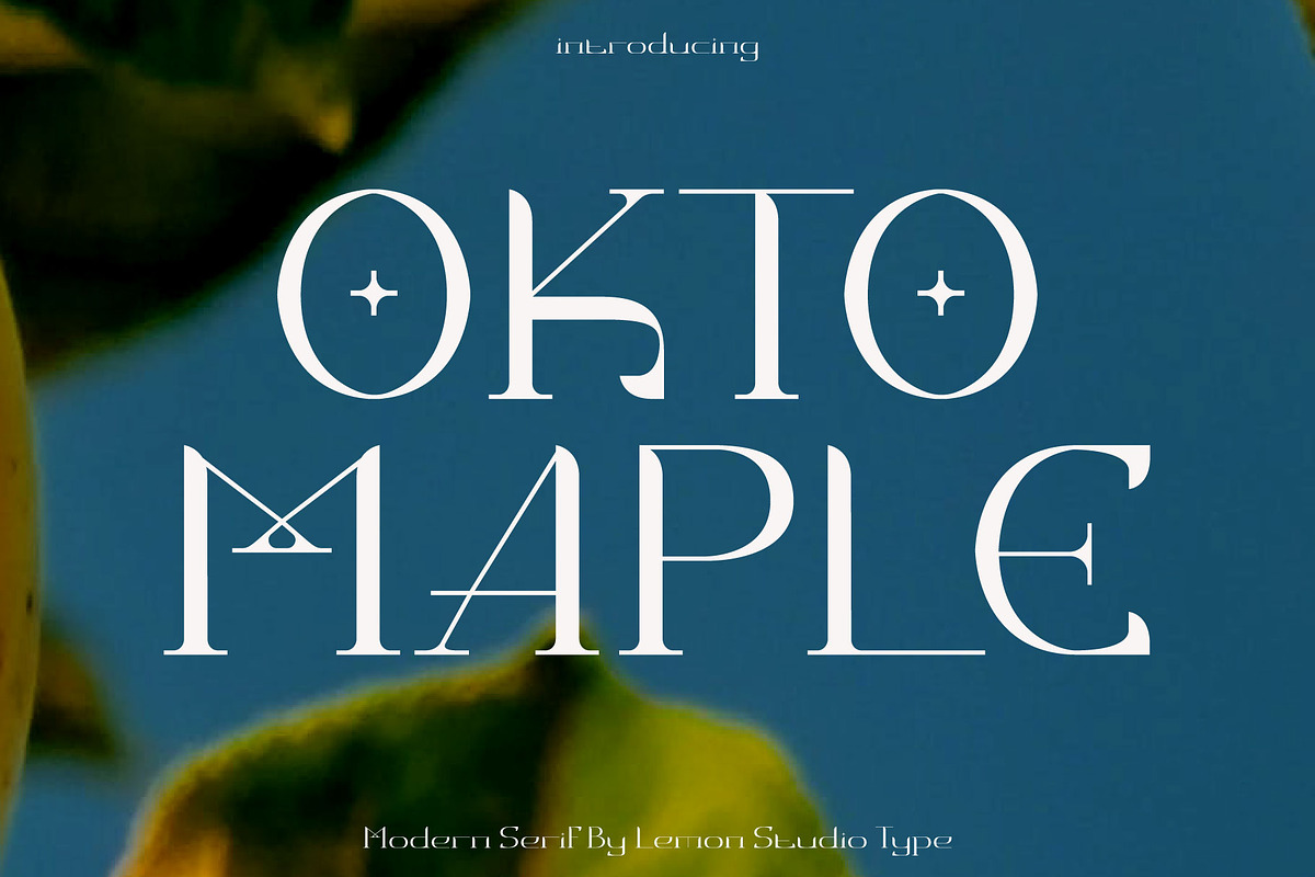 Okto Maple - Modern Serif, a Serif Font by Lemon Studio Type (Photo 1 of 8)