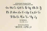 Midnight Billiard, a Handwritten Font by FreshTypeINK (Thumbnail 5 of 8)
