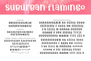 Suburban Flamingo, a Font by Brittney Murphy Design (Thumbnail 2 of 2)
