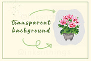 Watercolor Garden Pot Plants, an Illustration by Inksnthings (Thumbnail 5 of 6)