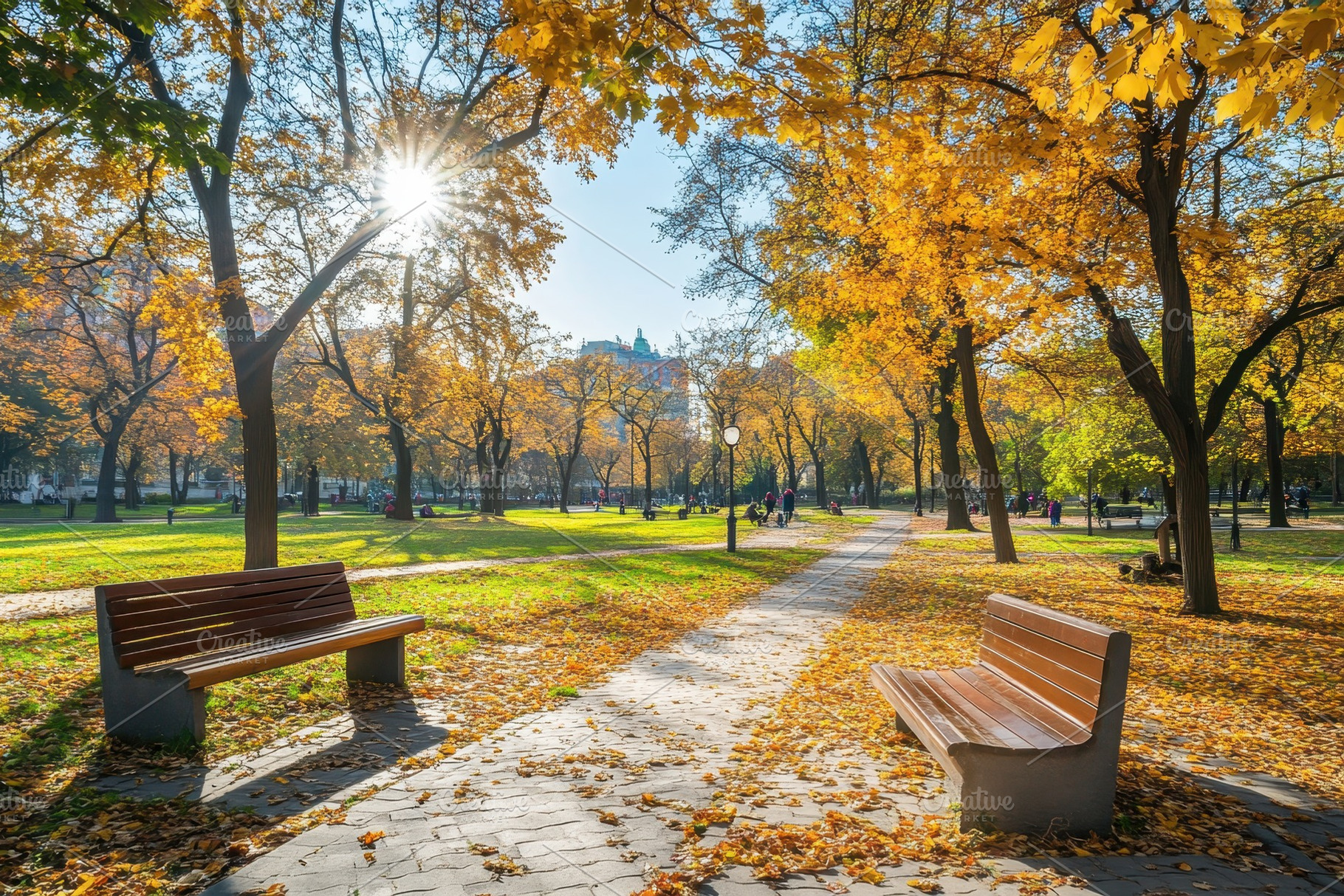 Vibrant autumn leaves in a serene, a Photo by Pavel_design