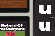 Nordt, a Sans Serif Font by Typesketchbook Foundry (Thumbnail 5 of 5)