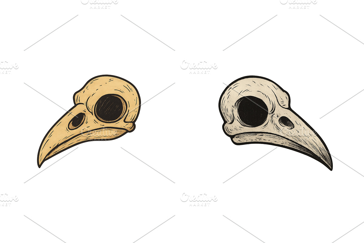 Detailed illustration of two bird, an Animal Illustration by ZinetroN