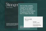 Anbittah Serif Fonts, a Serif Font by mahstudios (Thumbnail 4 of 13)