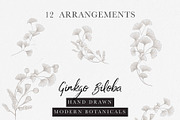 Ginkgo Botanicals - Florals & Leaves, an Illustration by Momo Studio (Thumbnail 3 of 13)