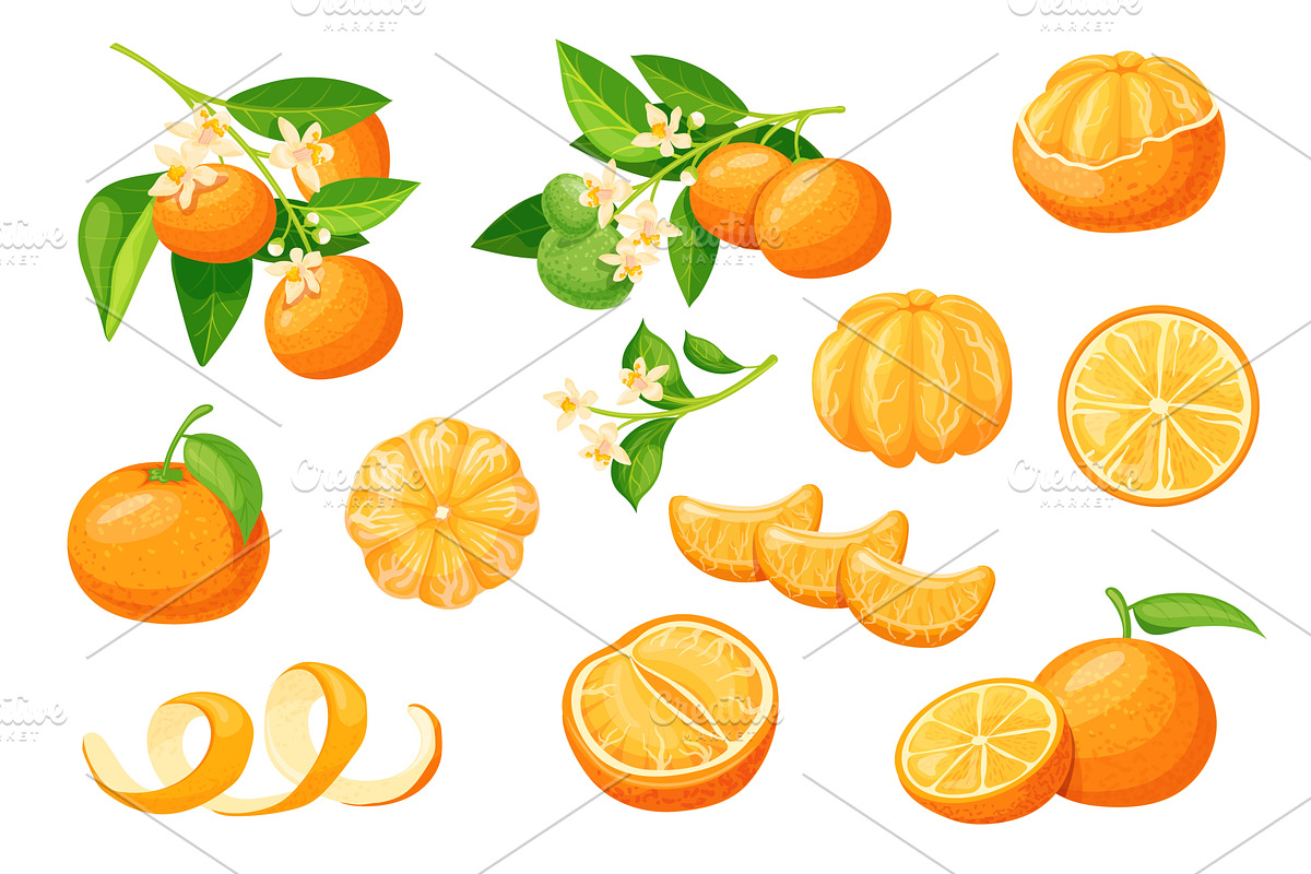 Cartoon mandarin fruit. Tangerine, a Food Illustration by Stock-Smart-Start
