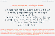 Norche - Serif Family, a Serif Font by Dora Typefoundry (Thumbnail 8 of 10)