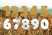 Flower Lover font, SVG font, a Font by Tattoo Worker Studio (Thumbnail 4 of 4)