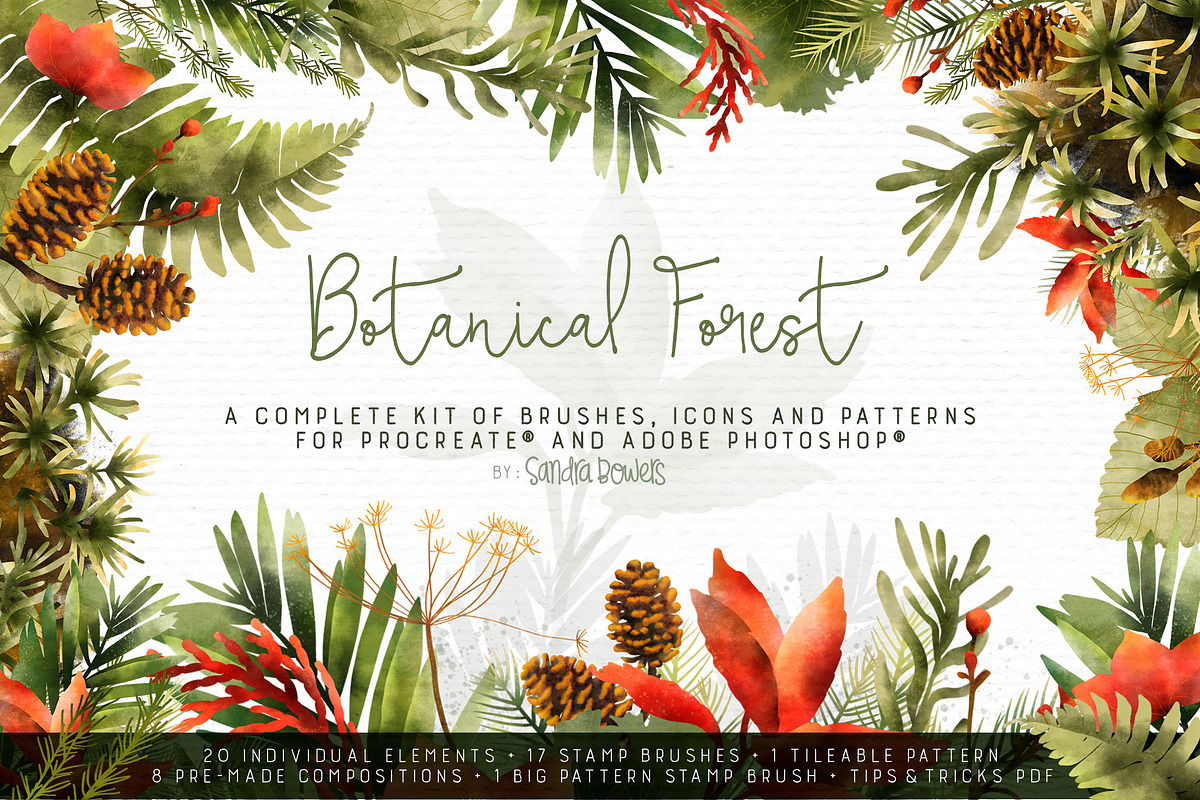Botanical Forest - Brushes and Icons, an Illustration by Sandra Mejia (Photo 1 of 13)