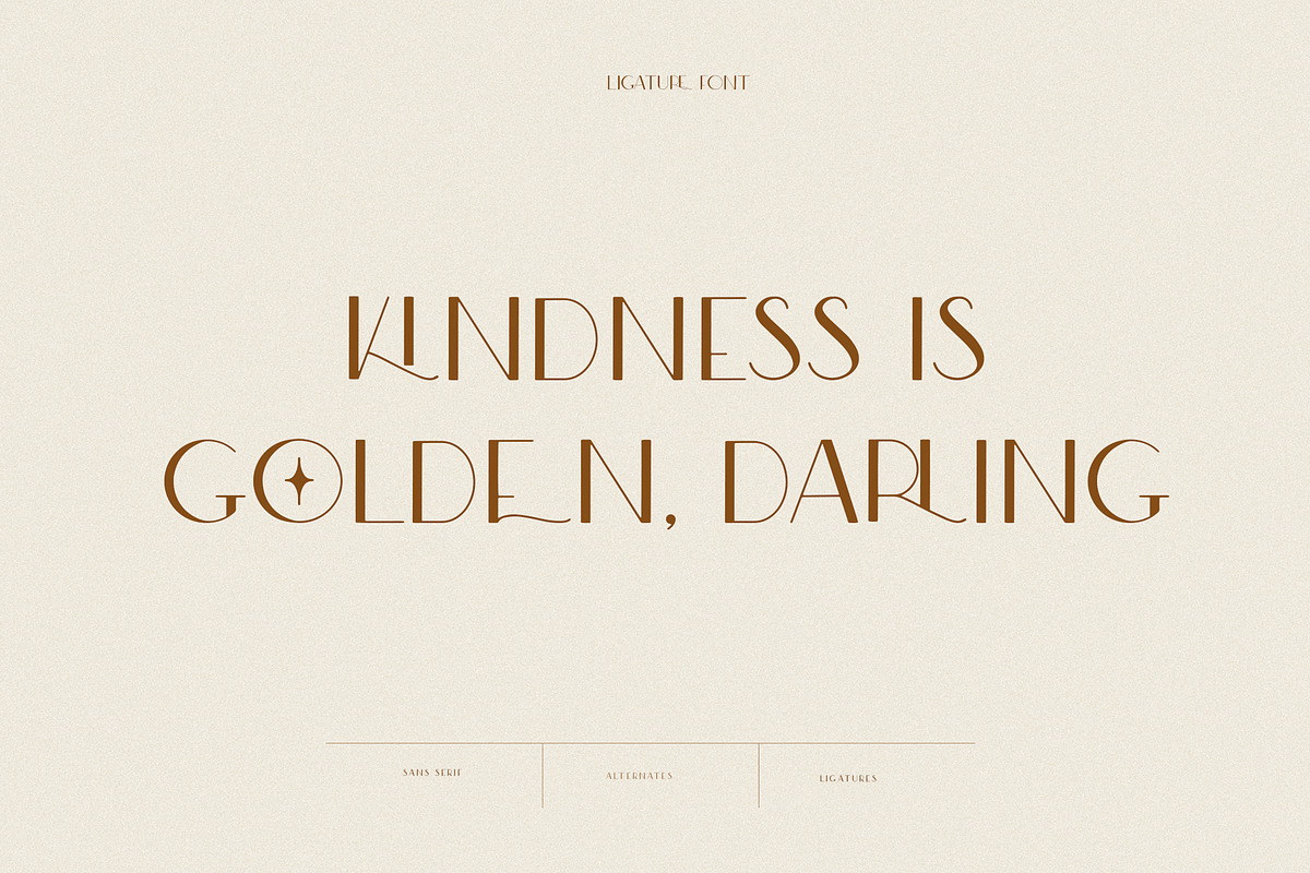 Modern Ligature Sans Serif Font preview 8
