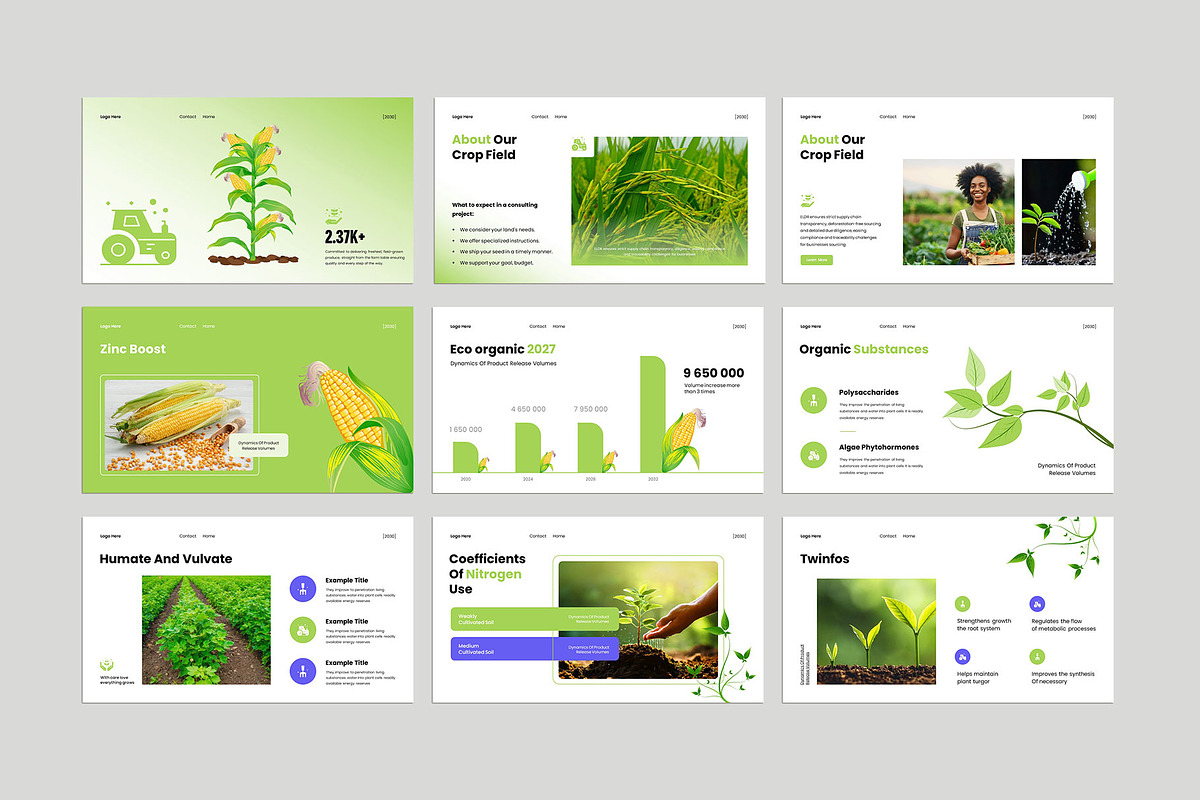 Agriculture Pitch Deck  Presentation, a Presentation Template by KreateTribe (Photo 3 of 6)