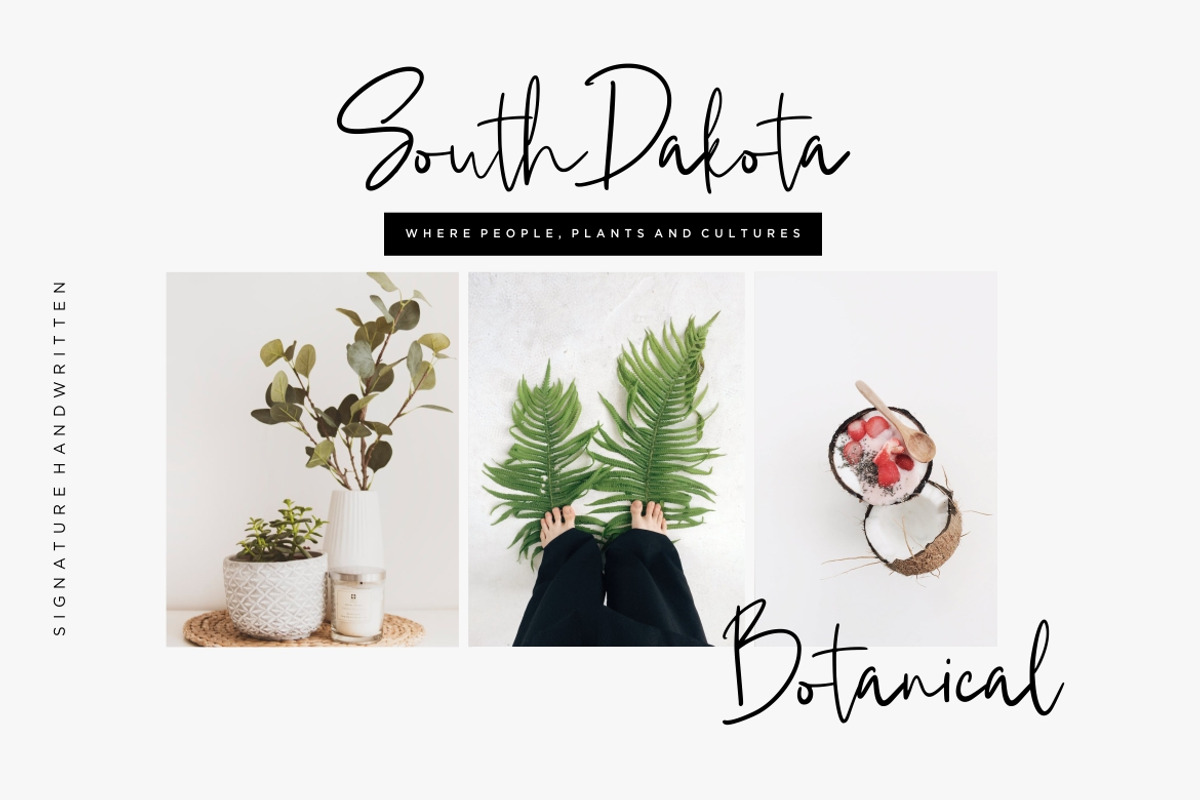 Marttiny Signature Business Font preview 3
