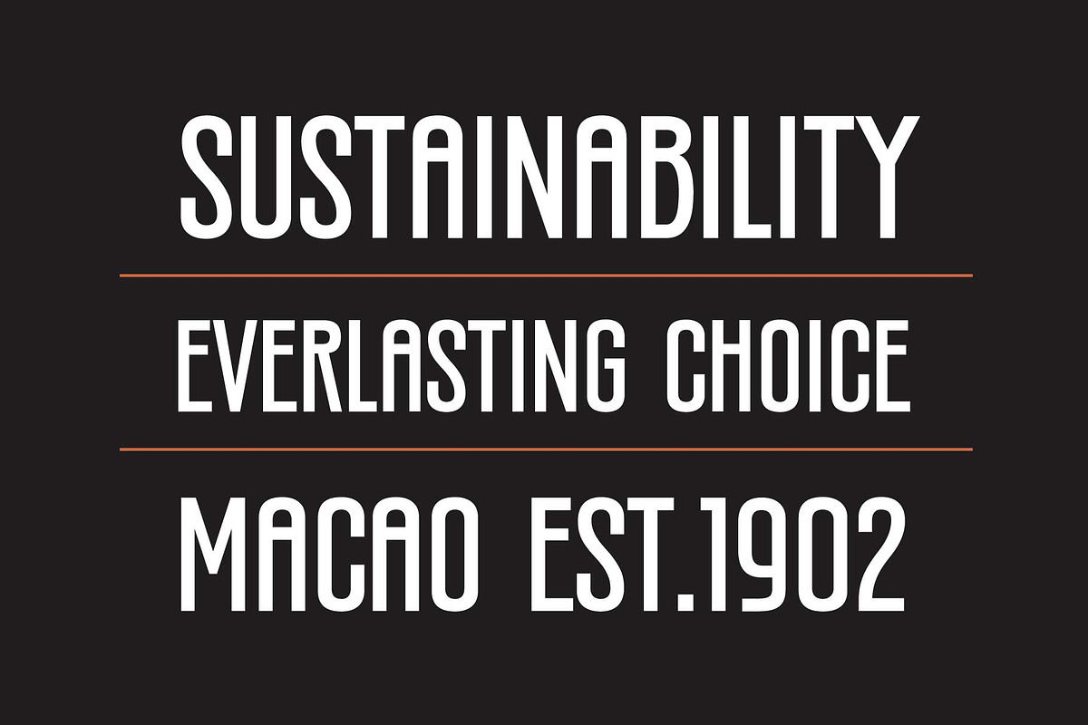 Silverandes; Condensed Display Font, a Font by Eko Bimantara (Photo 3 of 12)