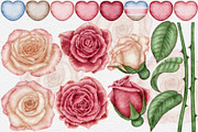 Valentines Roses watercolor clipart., a Seasonal Illustration by Happy Sloth Graphics (Thumbnail 2 of 12)