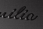 Logotype Mockup, a Merchandise Mockup by ZippyPixels (Thumbnail 4 of 4)