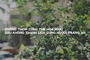 L'Hanoienne Typeface, a Sans Serif Font by One Pillar Studio (Thumbnail 5 of 6)