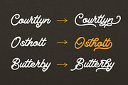 Winstone - Elegant Script Font, a Script Font by dealitastudio (Thumbnail 5 of 9)
