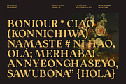 Valtrisse - Wide Serif Display Font, a Font by Indotype Foundry (Thumbnail 2 of 10)