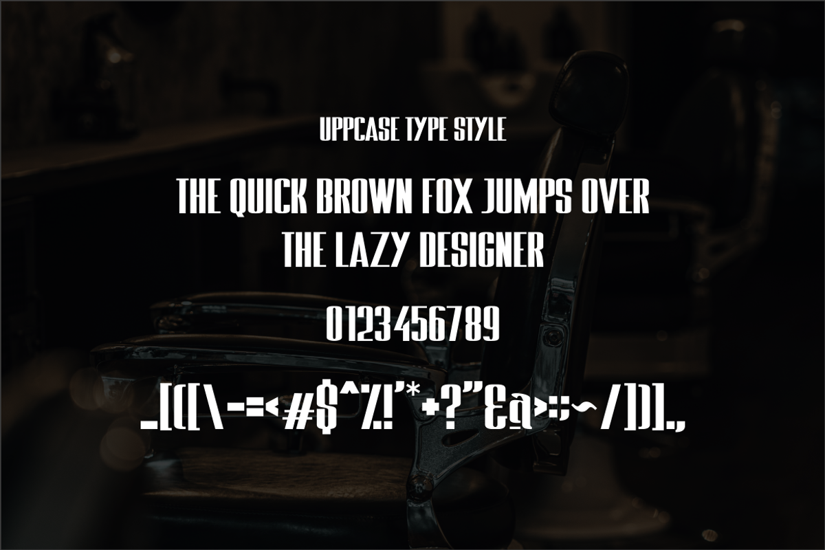 Thin In Bold Font, a Sans Serif Font by ponuppo (Photo 2 of 5)