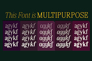 Shequan, a Serif Font by Propertype (Thumbnail 13 of 15)